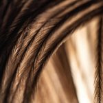 Hair Conditioner: 7 Proven Ways to Avoid Painful Thinning Mistakes