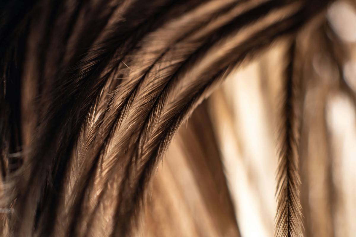 Thickening Tonic: 7 Proven Tips to Avoid Costly Hair-Thinning Mistakes